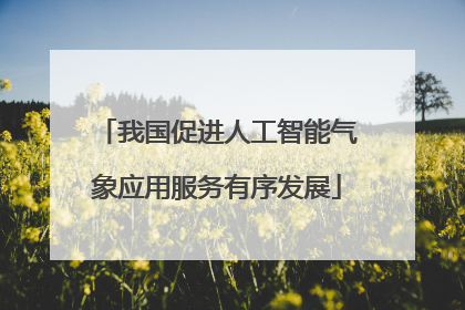 我国促进人工智能气象应用服务有序发展