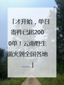 才开始，单日寄件已超2000单！云南野生菌火到全国各地……