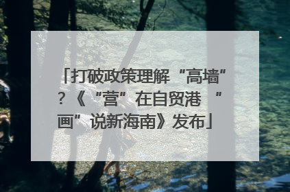 打破政策理解“高墙”？《“营”在自贸港 “画”说新海南》发布