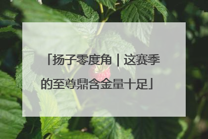 扬子零度角｜这赛季的至尊鼎含金量十足