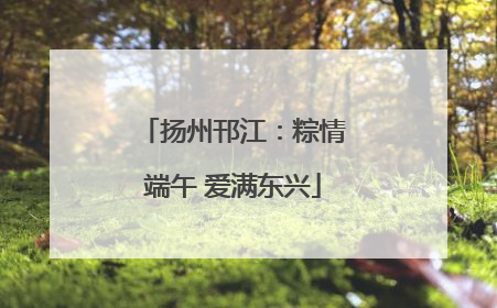 扬州邗江：粽情端午 爱满东兴