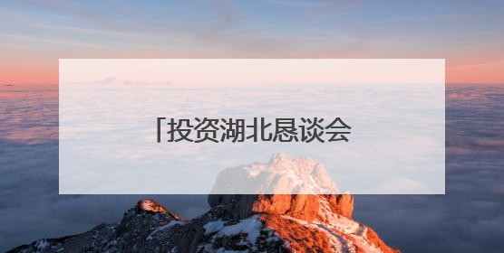 投资湖北恳谈会在大阪举办，携手深化鄂日合作