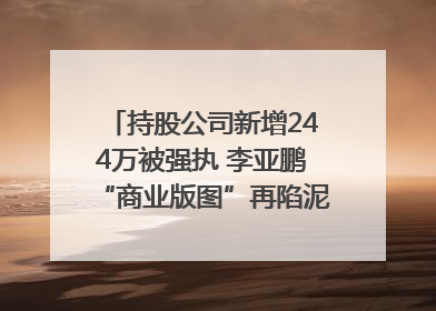 持股公司新增244万被强执 李亚鹏“商业版图”再陷泥潭？｜科技观察
