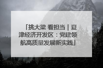 挑大梁 看担当｜夏津经济开发区：党建领航高质量发展新实践