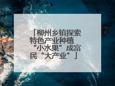 柳州乡镇探索特色产业种植 “小水果”成富民“大产业”