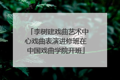 李树建戏曲艺术中心戏曲表演进修班在中国戏曲学院开班
