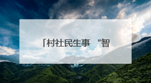 村社民生事 “智囊”出点子 嘉兴市秀洲区推行AI“民情一本账”