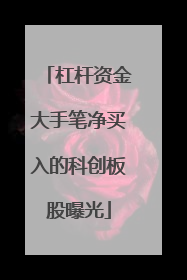 杠杆资金大手笔净买入的科创板股曝光