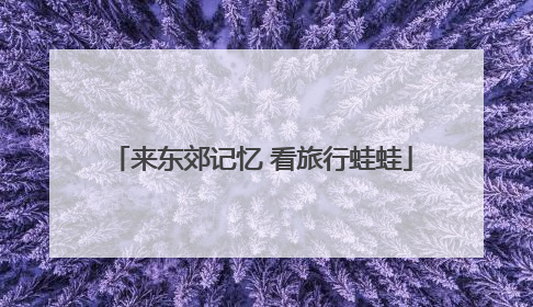 来东郊记忆 看旅行蛙蛙
