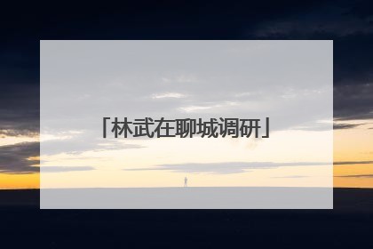 林武在聊城调研