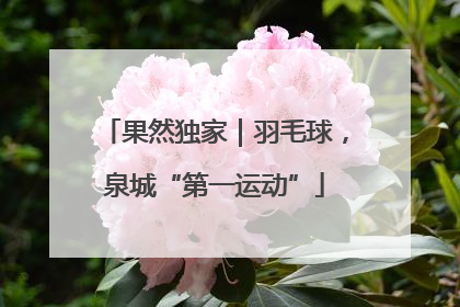 果然独家｜羽毛球，泉城“第一运动”