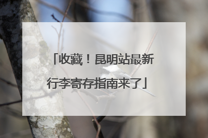 收藏！昆明站最新行李寄存指南来了