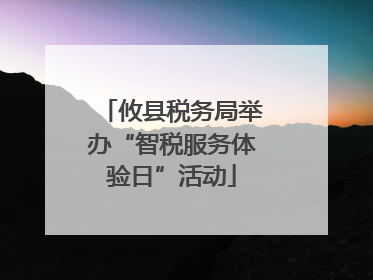 攸县税务局举办“智税服务体验日”活动