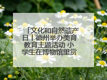 文化和自然遗产日丨德州举办美育教育主题活动 小学生在博物馆里赏文物画文物