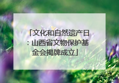 文化和自然遗产日：山西省文物保护基金会揭牌成立