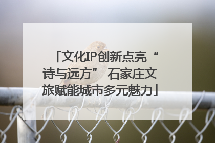 文化IP创新点亮“诗与远方” 石家庄文旅赋能城市多元魅力