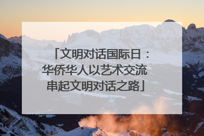 文明对话国际日：华侨华人以艺术交流串起文明对话之路