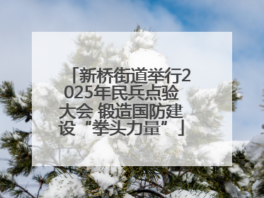 新桥街道举行2025年民兵点验大会 锻造国防建设“拳头力量”