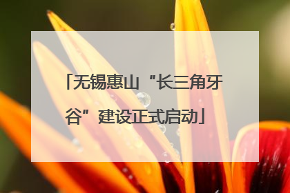 无锡惠山“长三角牙谷”建设正式启动