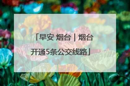 早安 烟台｜烟台开通5条公交线路