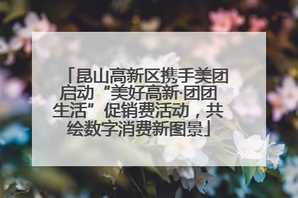 昆山高新区携手美团启动“美好高新·团团生活”促销费活动，共绘数字消费新图景