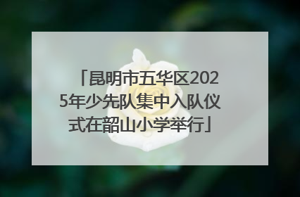 昆明市五华区2025年少先队集中入队仪式在韶山小学举行
