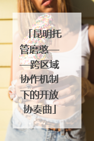 昆明托管磨憨——跨区域协作机制下的开放协奏曲
