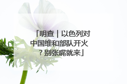明查｜以色列对中国维和部队开火？别张嘴就来