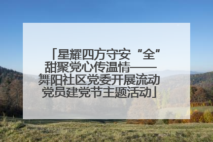 星耀四方守安“全” 甜聚党心传温情——舞阳社区党委开展流动党员建党节主题活动