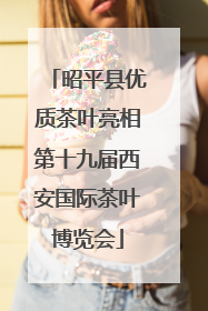昭平县优质茶叶亮相第十九届西安国际茶叶博览会