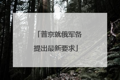 普京就俄军备提出最新要求