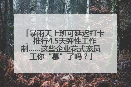 暴雨天上班可延迟打卡、推行4.5天弹性工作制……这些企业花式宠员工你“慕”了吗？