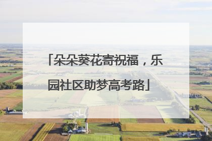 朵朵葵花寄祝福，乐园社区助梦高考路