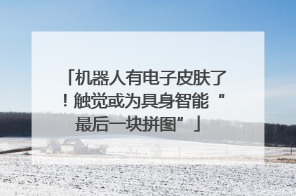 机器人有电子皮肤了！触觉或为具身智能“最后一块拼图”