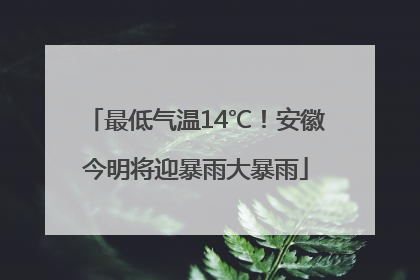 最低气温14℃！安徽今明将迎暴雨大暴雨