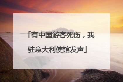有中国游客死伤，我驻意大利使馆发声