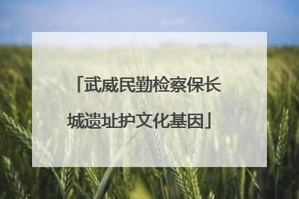 武威民勤检察保长城遗址护文化基因