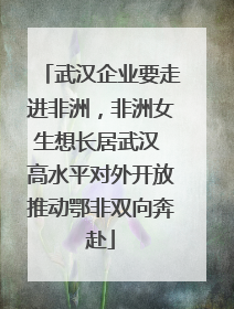 武汉企业要走进非洲，非洲女生想长居武汉 高水平对外开放推动鄂非双向奔赴