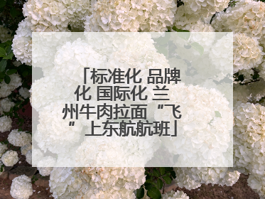 标准化 品牌化 国际化 兰州牛肉拉面“飞”上东航航班