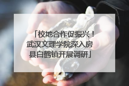 校地合作促振兴！武汉文理学院深入房县白鹤镇开展调研