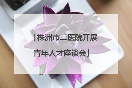 株洲市二医院开展青年人才座谈会