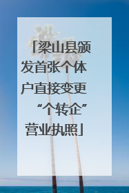 梁山县颁发首张个体户直接变更“个转企”营业执照