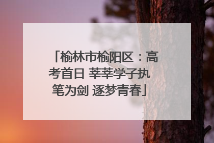 榆林市榆阳区：高考首日 莘莘学子执笔为剑 逐梦青春