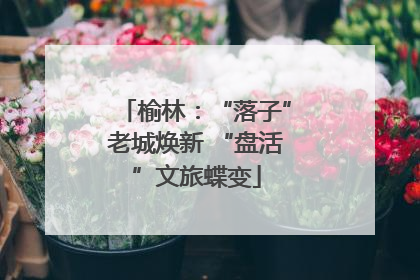 榆林：“落子”老城焕新 “盘活”文旅蝶变