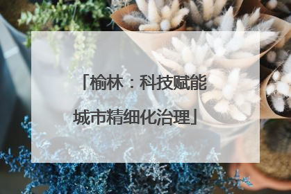 榆林：科技赋能城市精细化治理