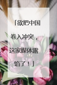 欲把中国卷入冲突，这家媒体露馅了！