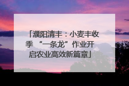 濮阳清丰：小麦丰收季 “一条龙”作业开启农业高效新篇章