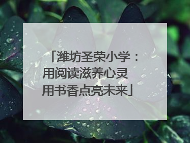 潍坊圣荣小学：用阅读滋养心灵 用书香点亮未来
