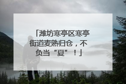 潍坊寒亭区寒亭街道麦熟归仓，不负当“夏”！