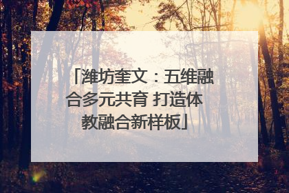 潍坊奎文：五维融合多元共育 打造体教融合新样板